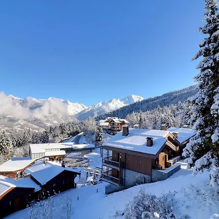 Confortable 2 Pieces, Skis Aux Pieds & Proche Commerces - Fr-1-182a-29 Courchevel